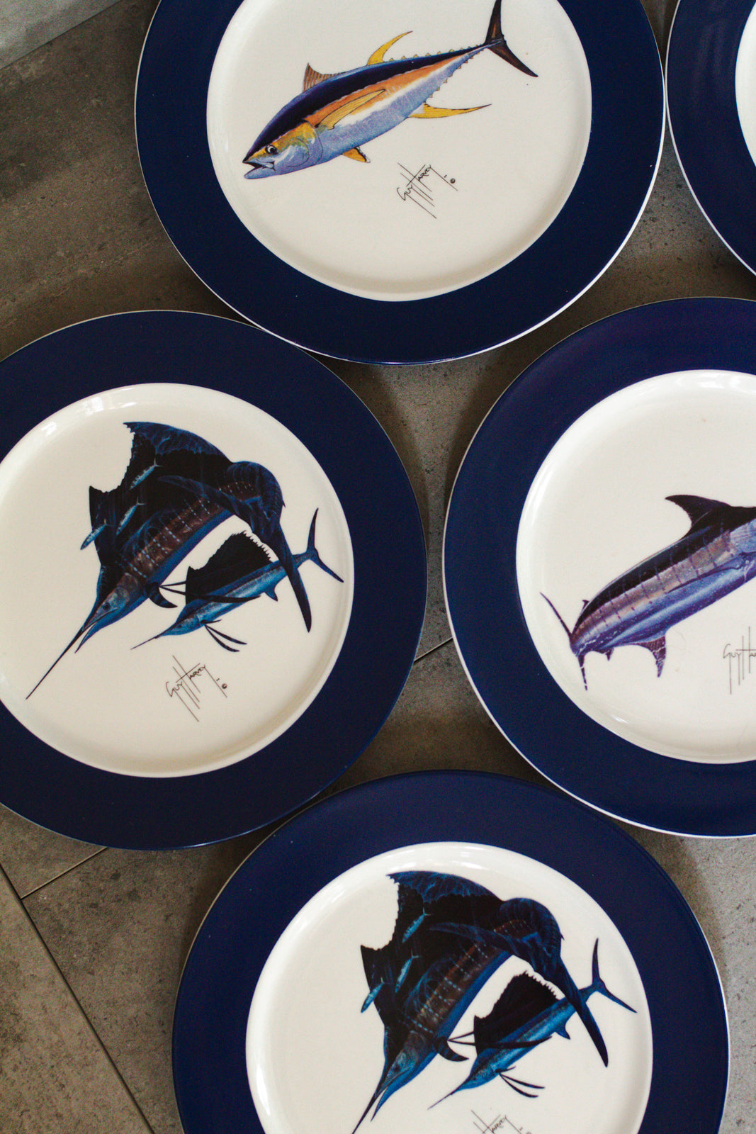 Guy Harvey Fish Plate Set of 6 Plates 8" Blue Rim Assorted Styles 2008 Edition