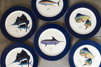 Guy Harvey Fish Plate Set of 6 Plates 8" Blue Rim Assorted Styles 2008 Edition